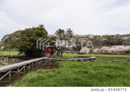 厳島湿生公園　神奈川県足柄上郡中井町 65408773