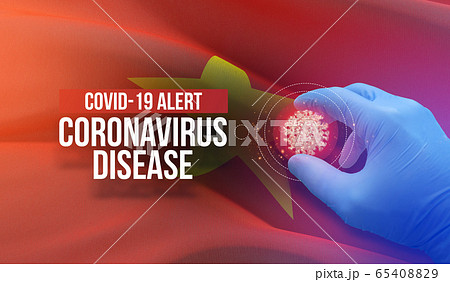 COVID-19 alert, coronavirus disease - letter typography text. Medical virus molecular concept with flag of Vietnam. 3D illustration. 65408829