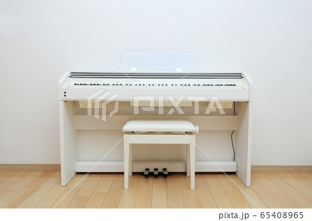 ピアノ 楽器 音楽 (オルガン チェンバロ ハープシコード MIDI シンセサイザー 鍵盤 白黒) 65408965