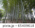 竹林 森林 日本の 65409618