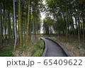 竹林 森林 屋外 65409622