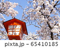 桜と灯篭 65410185