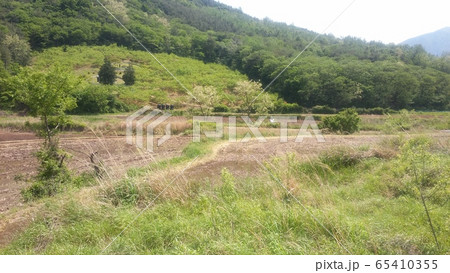 日本の 観光 空 65410355