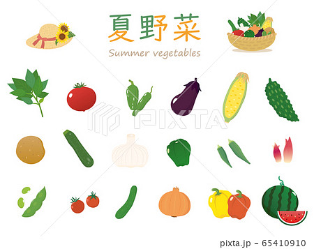 夏野菜 素材集のイラスト素材
