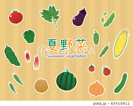 夏野菜 素材集 白縁 65410911