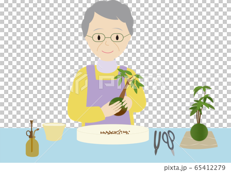 女人享受苔蘚盆景的照顧 65412279