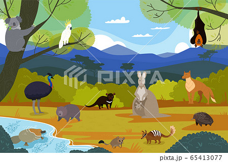 Australian animals in natural landscape, wildlife cartoon characters, vector illustration Australian animals in natural landscape, wildlife cartoon characters, vector illustration 65413077