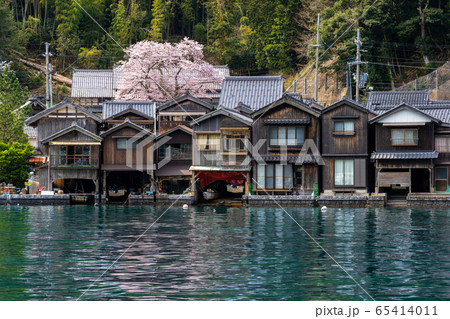 京都府 伊根町の町並み　海蔵寺の桜 65414011