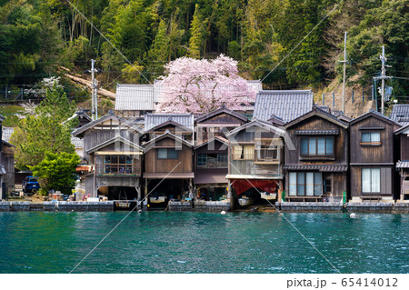 京都府 伊根町の町並み 海蔵寺の桜 京都府 伊根町の町並み 海蔵寺の桜 65414012