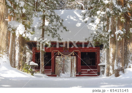 A row of Cedar Trees at Togakushi Shrine in winter 65415145