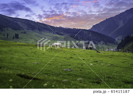 Beautiful landscape view of Sonamarg in Thajiwas park 65415187