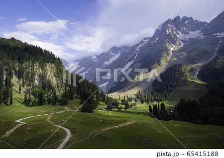 Beautiful landscape view of Sonamarg in Thajiwas park 65415188