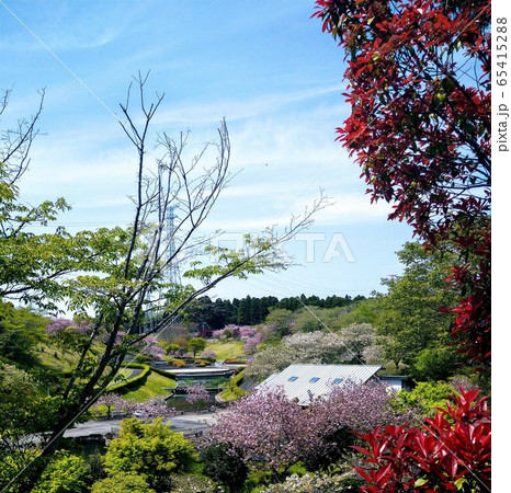 静峰ふるさと公園 65415288