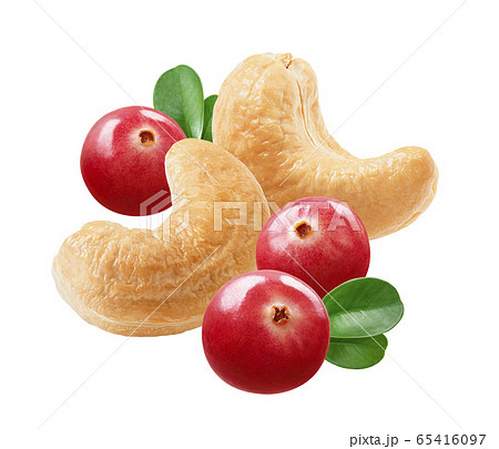 Cranberries and cashew nuts isolated on white background Cranberries and cashew nuts isolated on white background 65416097
