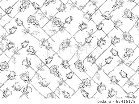 Outline roses seamless pattern, background. 65416178