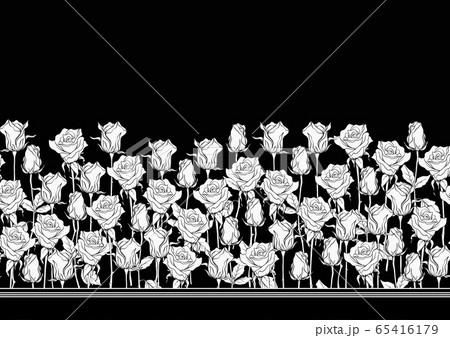 Black and white roses seamless pattern, background. 65416179