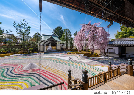 高台寺　枝垂桜　 65417231