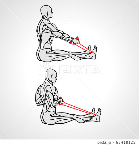 Resistance Band Upper Back Row Exercise Vector のイラスト素材