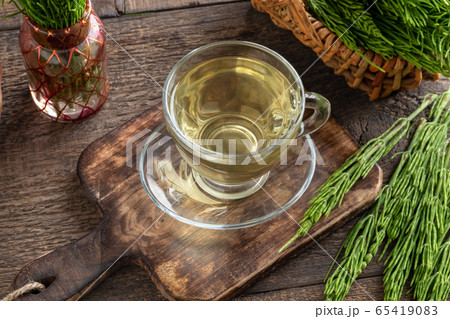 A cup of herbal tea with fresh horsetail A cup of herbal tea with fresh horsetail 65419083