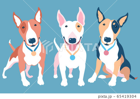 Vector set of Bull terier dog 65419304
