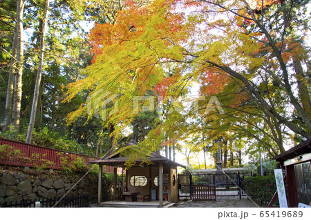 瑞鳳殿 紅葉の風景 瑞鳳殿 紅葉の風景 65419689