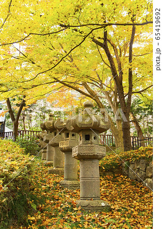 瑞鳳殿　紅葉の風景 65419692