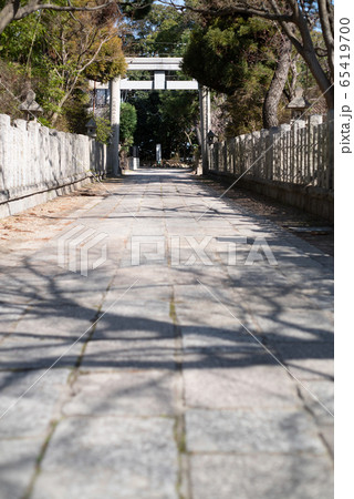 兵庫県伊丹市・肱岡天満宮 参道と鳥居 兵庫県伊丹市・肱岡天満宮 参道と鳥居 65419700