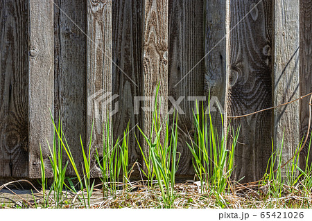 Grass on the background of boards. 65421026