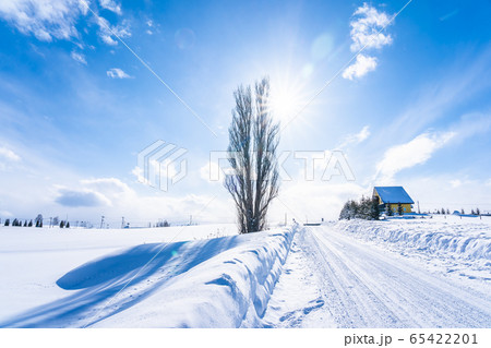 Beautiful outdoor nature landscape with tree of ken and mary in biei area Beautiful outdoor nature landscape with tree of ken and mary in biei area 65422201