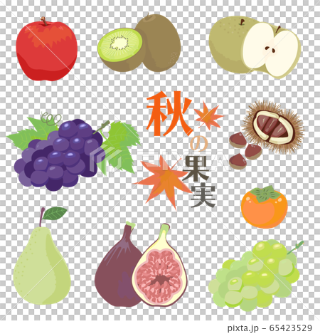 秋の果実のイラストセット 65423529