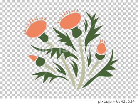 矢量日本素材簡單薊 65423534