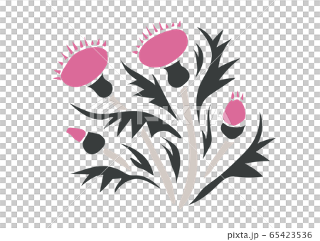 矢量日本素材簡單薊 65423536