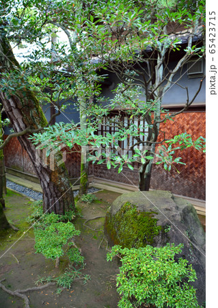 新潟市旧齋藤家別邸・日本庭園 65423715