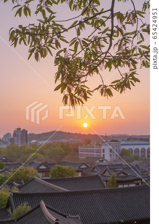 自然 樹木 夕日 65424951
