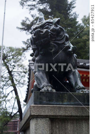 京都・雨上がり、八坂神社の狛犬 京都・雨上がり、八坂神社の狛犬 65427911