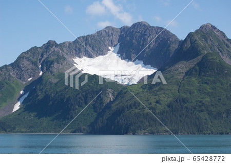 アメリカ　アラスカ　キーナイ・フィヨルド国立公園 65428772