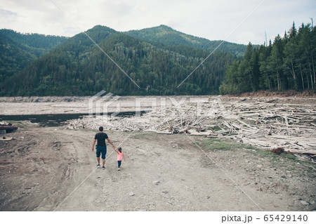 man with baby walk on dry fallen trees on the ground. Sawmill, woodworking industry, construction, firewood, deforestation, environmental disaster man with baby walk on dry fallen trees on the ground. Sawmill, woodworking industry, construction, firewood, deforestation, environmental disaster 65429140
