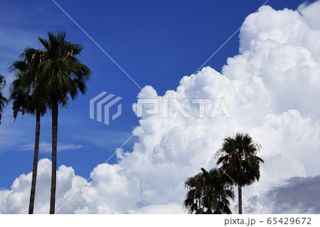 青空に入道雲 65429672