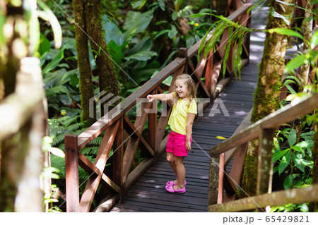 Child looking at flower in jungle. 65429821