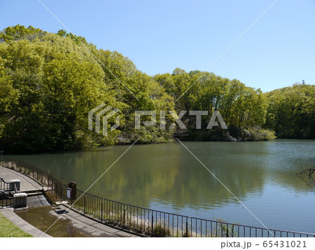 長池公園　築池（八王子市） 65431021