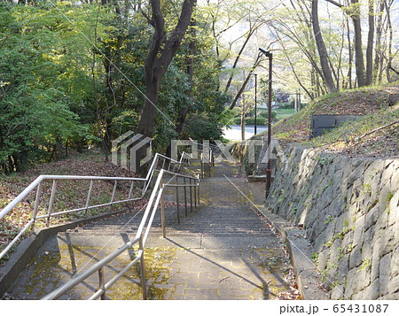 愛宕第一公園（多摩市） 65431087