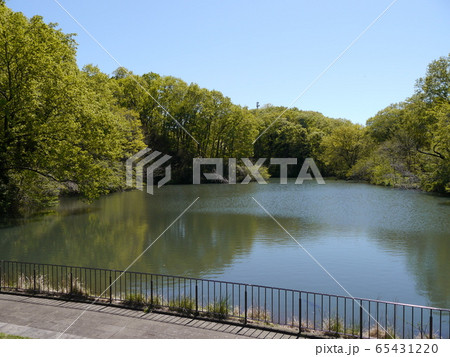 長池公園 築池(八王子市) 長池公園 築池(八王子市) 65431220