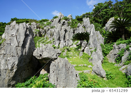 沖縄県・大石林山 沖縄県・大石林山 65431299