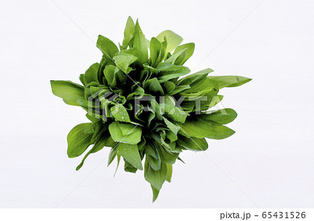 Fresh wild garlic harvest is collected in a bunch. Healthy vegetarian food. Useful green leaves, many vitamins. Free space. Close-up. Fresh wild garlic harvest is collected in a bunch. Healthy vegetarian food. Useful green leaves, many vitamins. Free space. Close-up. 65431526