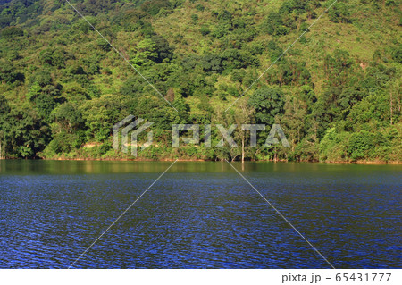 3 Aug 2008 Shing Mun Reservoir. Country Park, Hong 65431777