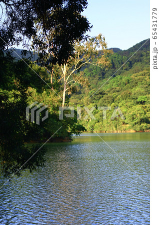 3 Aug 2008 Shing Mun Reservoir. Country Park, Hong 65431779