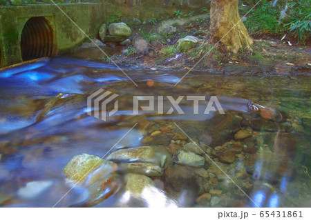 3 Aug 2008 a River in Shing Mun Reservoir, Hong 3 Aug 2008 a River in Shing Mun Reservoir, Hong 65431861