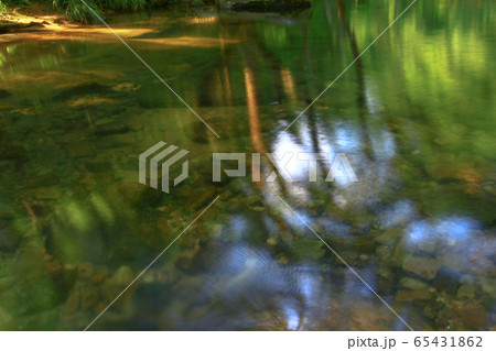 3 Aug 2008 a River in Shing Mun Reservoir, Hong 3 Aug 2008 a River in Shing Mun Reservoir, Hong 65431862