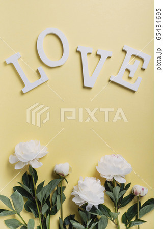 White elegant peony on the yellow background 65434695