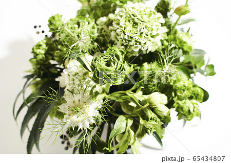 グリーン 生花 グリーン 生花 65434807